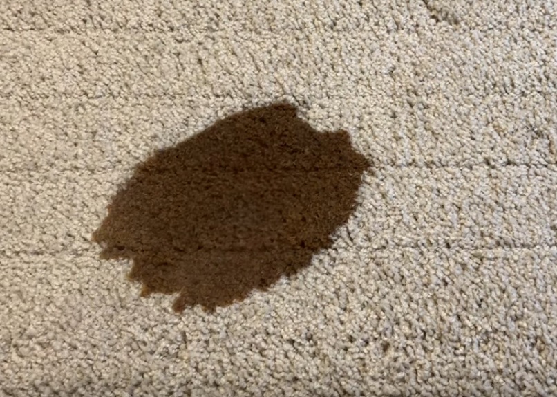 Carpet stain removal procedure near Cleveland Square in W2, London